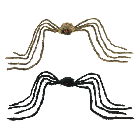 Daddy Long Legs Spider
