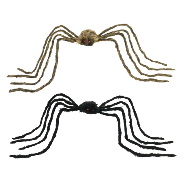 Daddy Long Legs Spider