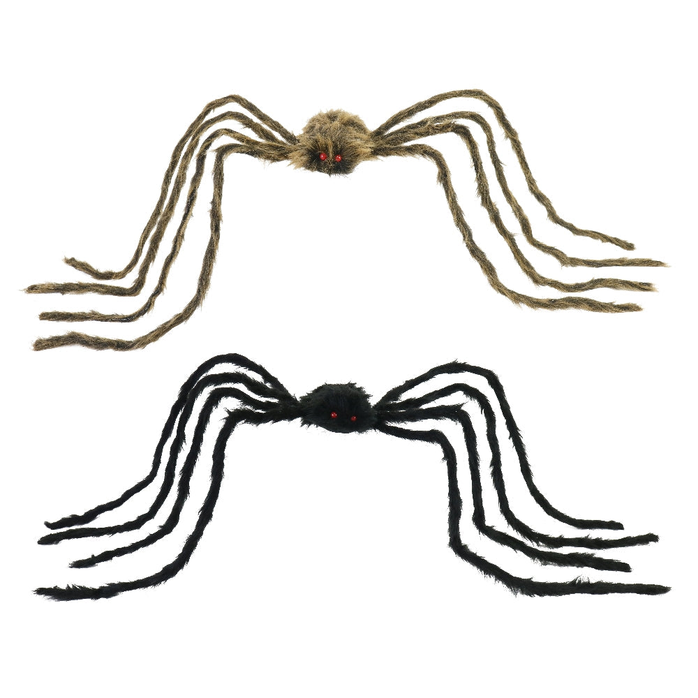 Giant Daddy Long Legs Spider