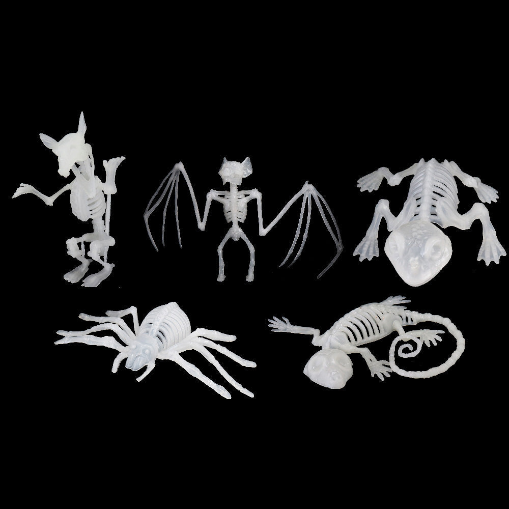 Animal Skeletons