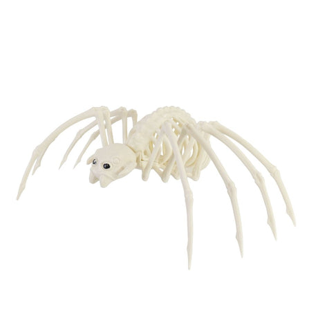 Skeleton Spider