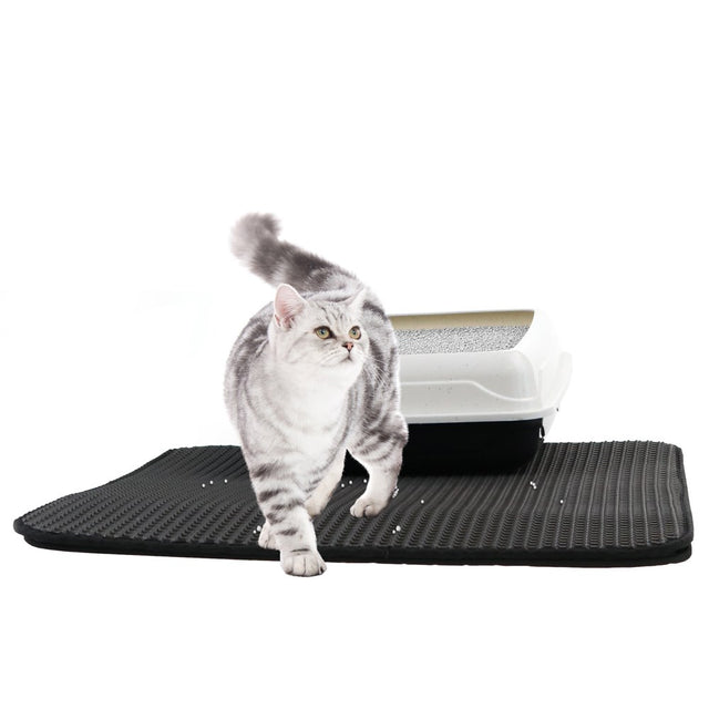 Dual Layer Cat Litter Trap Mat 58cm x 53cm