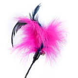 Pounce Springing Feather Cat Dangler 48cm - Assorted