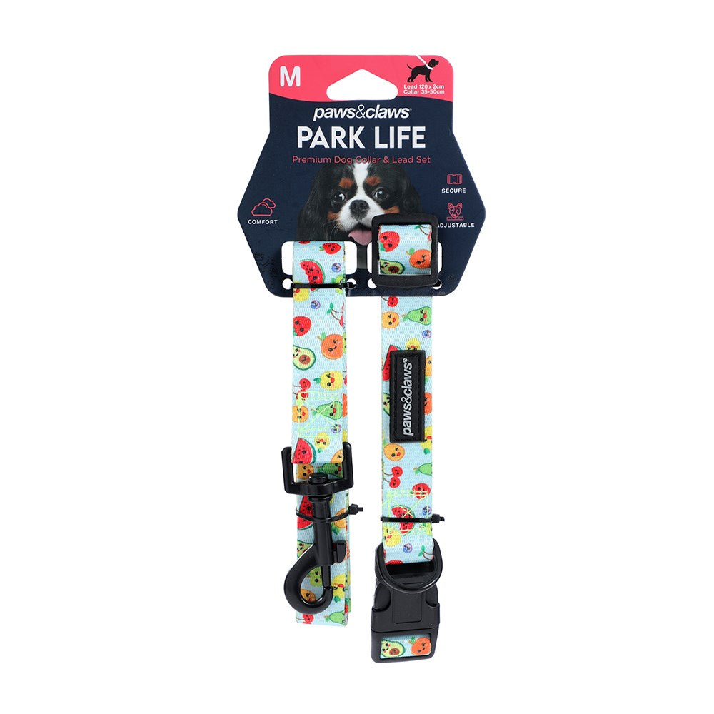 Park Life Collar and Lead Set - Medium