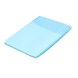 10 Pack Puppy Training Pads - Extra Large