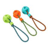 TPR Ball with Rope Dog Toy 36cm - Assorted