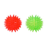 5 Pack Spikey TPR Squeaky Dog Toy Set
