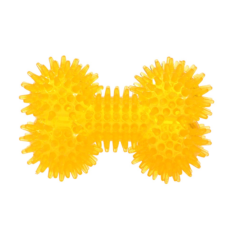 5 Pack Spikey TPR Squeaky Dog Toy Set