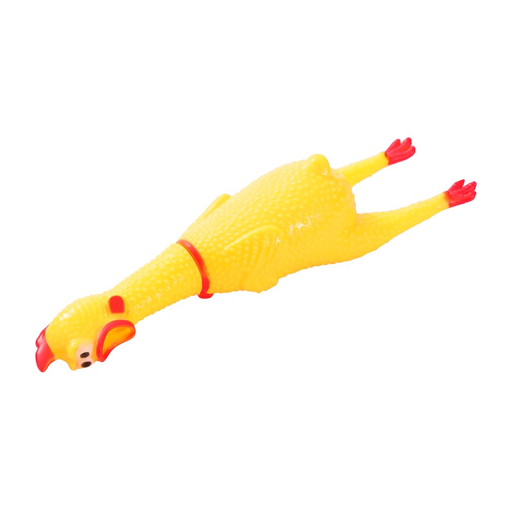 Squawking Chicken Pet Toy