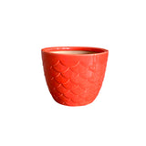 Ceramic Pots - Small
