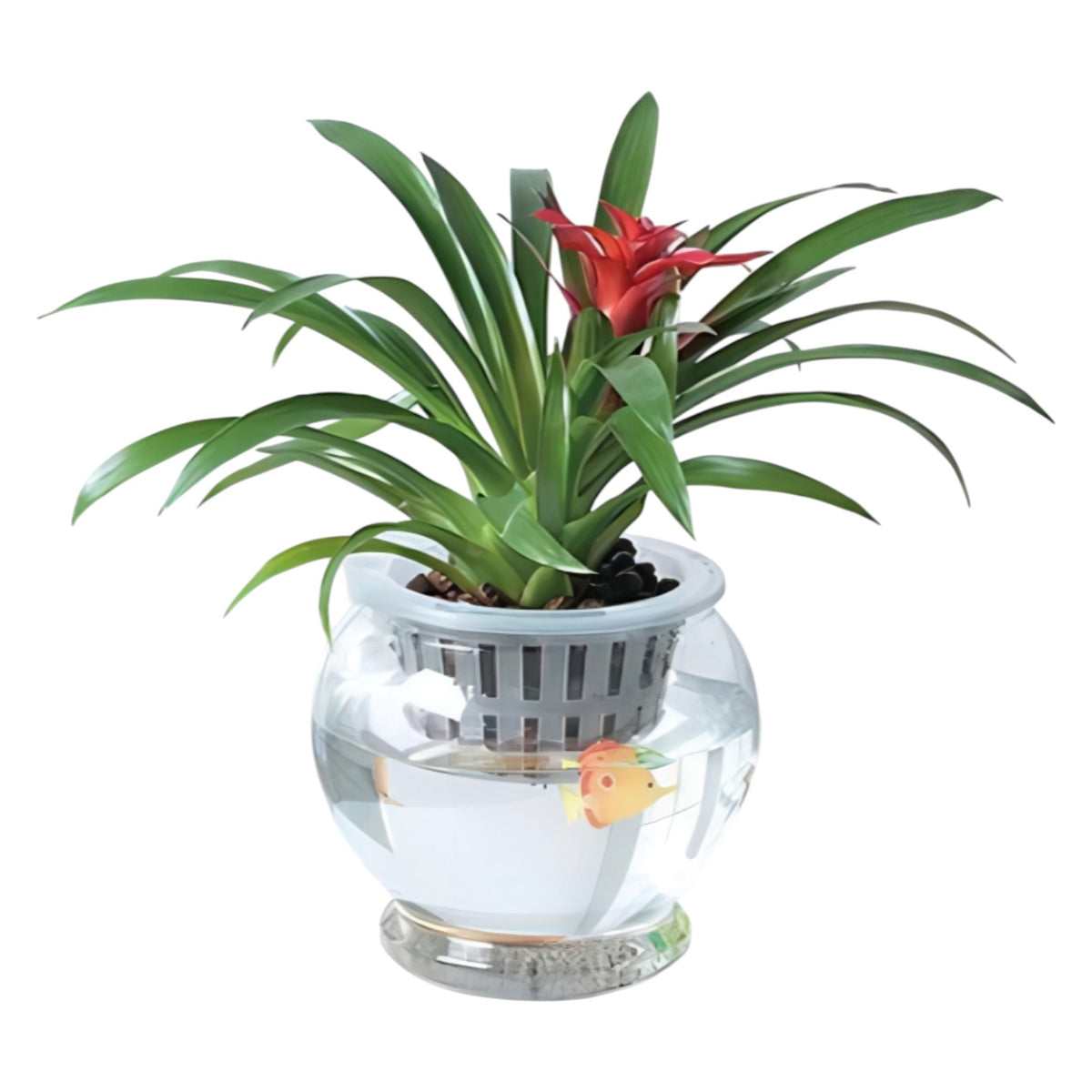 Self-Watering Glass Vase