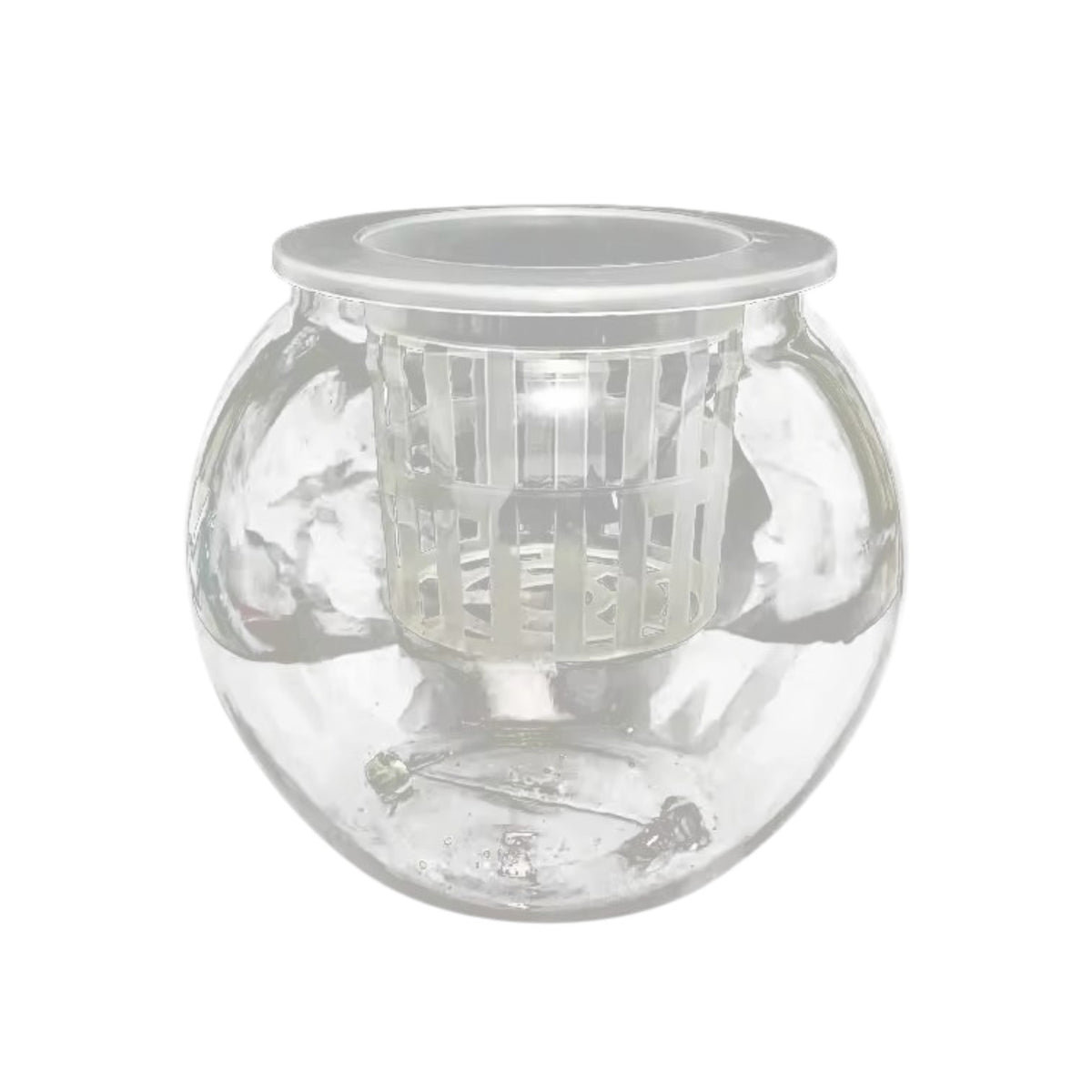 Self-Watering Glass Vase