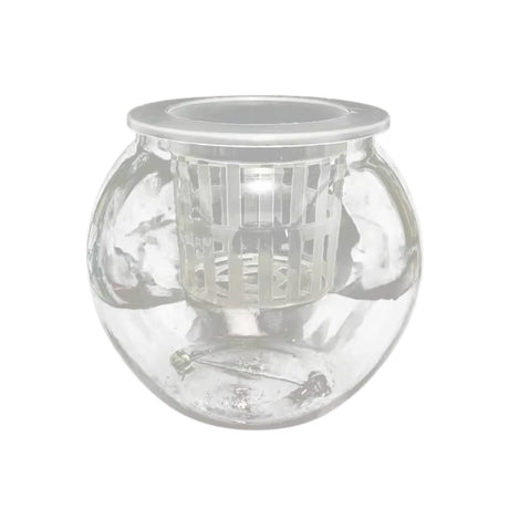 Self-Watering Glass Vase