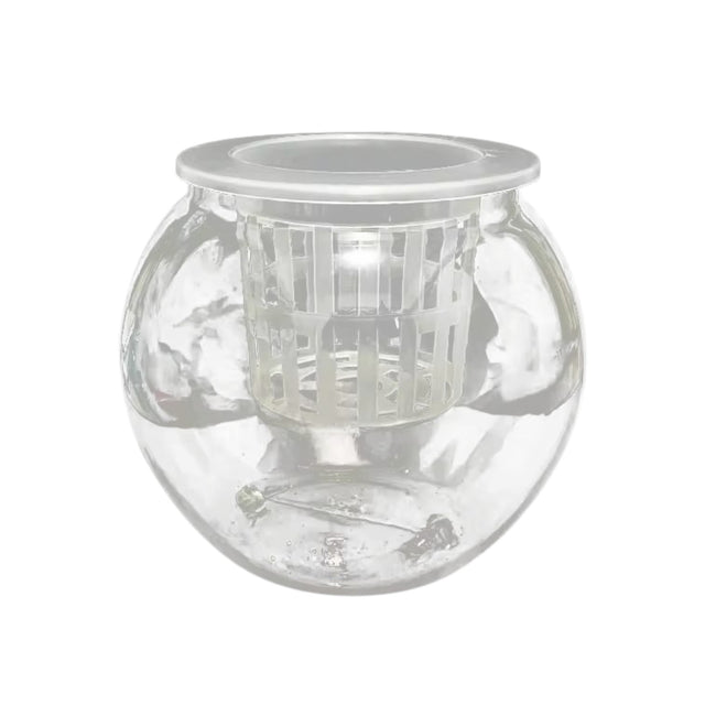 Self-Watering Glass Vase