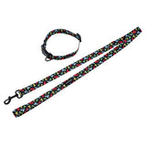 Park Life Collar and Lead Set - Large