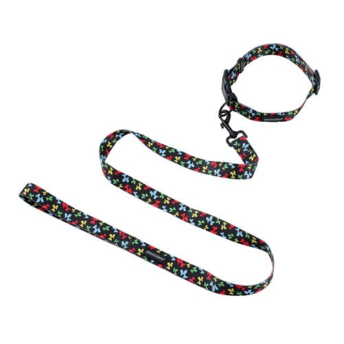 Park Life Collar and Lead Set - Medium