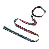 Park Life Collar and Lead Set - Medium