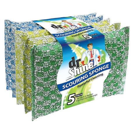 Scouring Sponges – 5 Pack