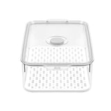 Green Saver Fresh Storer 5.1L