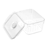 Green Saver Fresh Storer 2.4L