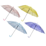 Coloured Transparent Umbrella