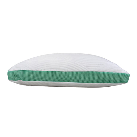 Aloe Vera Infused Pillow
