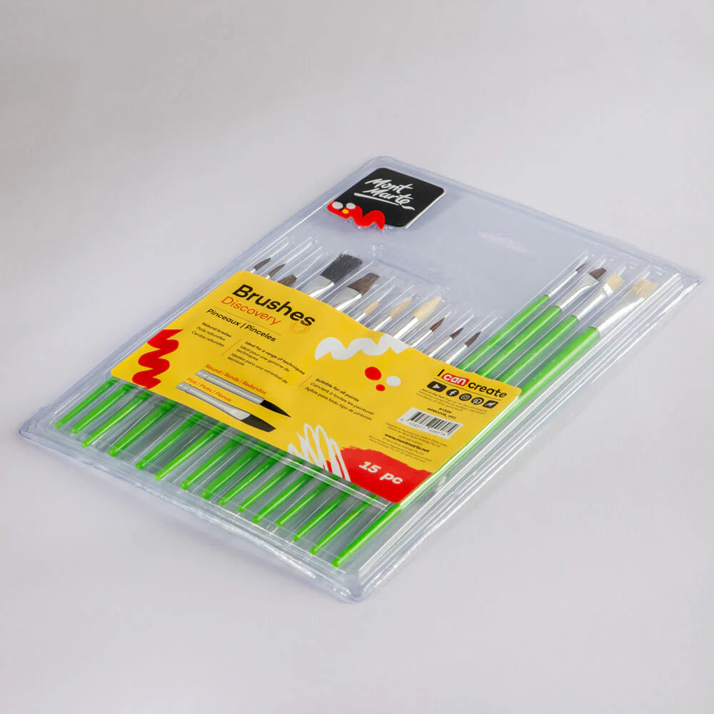 Studio Paint Brushes 15Pce Discovery Set