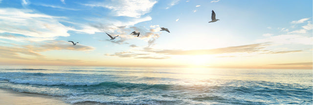 Birds Flying in the Morning 156cm x 60cm / Black