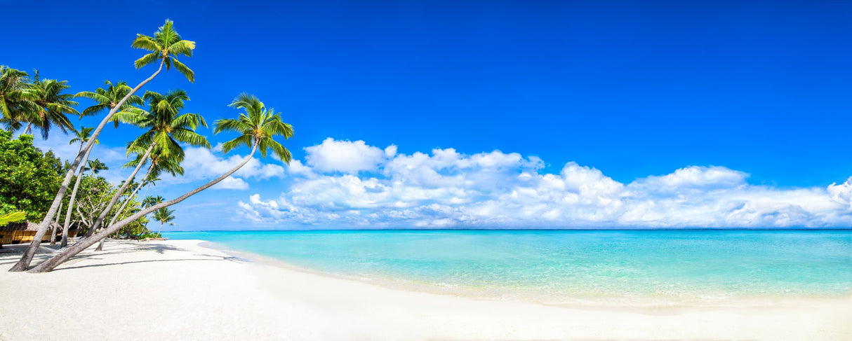 Palm Tree Beach