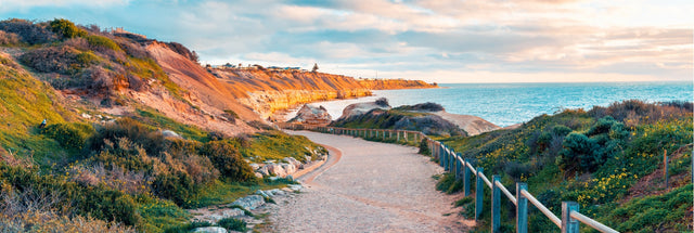 Port Willunga Beach access, SA 156cm x 60cm / Black