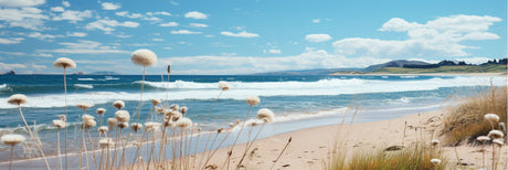 Sea Grass Beach 156cm x 60cm / Black