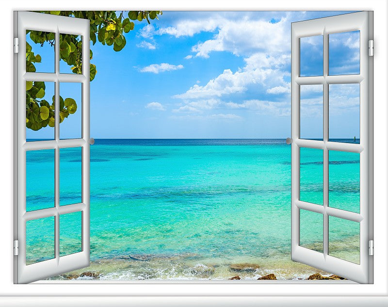 Window to Ocean